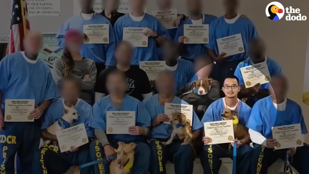A group of incarcerated individuals in blue uniforms pose together holding graduation certificates and several small dogs.