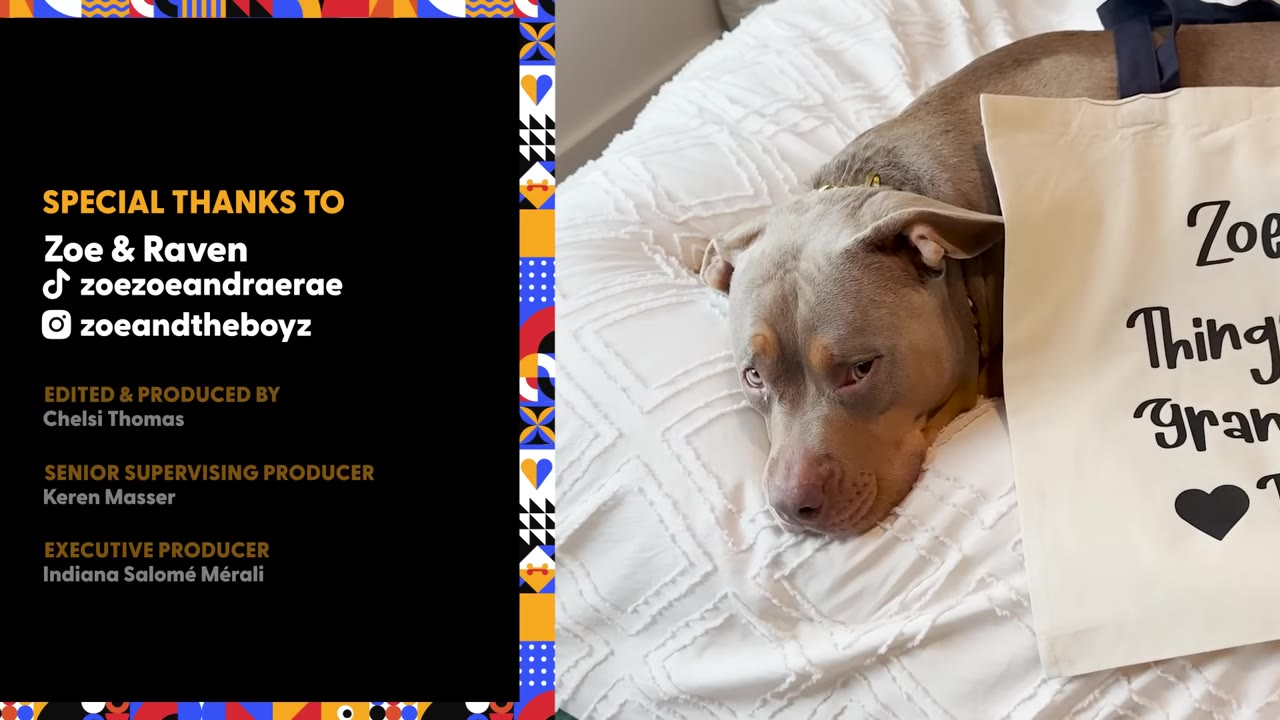 A grey and tan dog lies on a white textured bedspread next to a canvas tote bag with printed text.