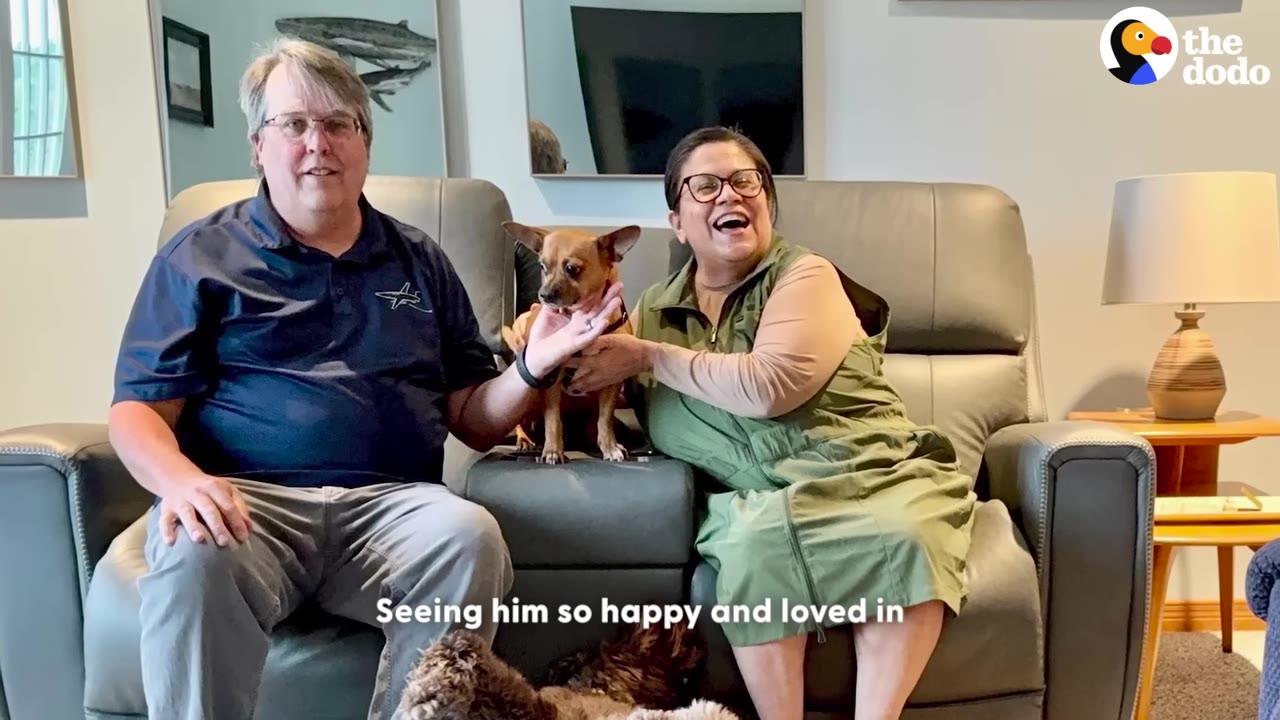 A smiling man and woman sit on a grey leather couch with a small brown dog standing between them.
