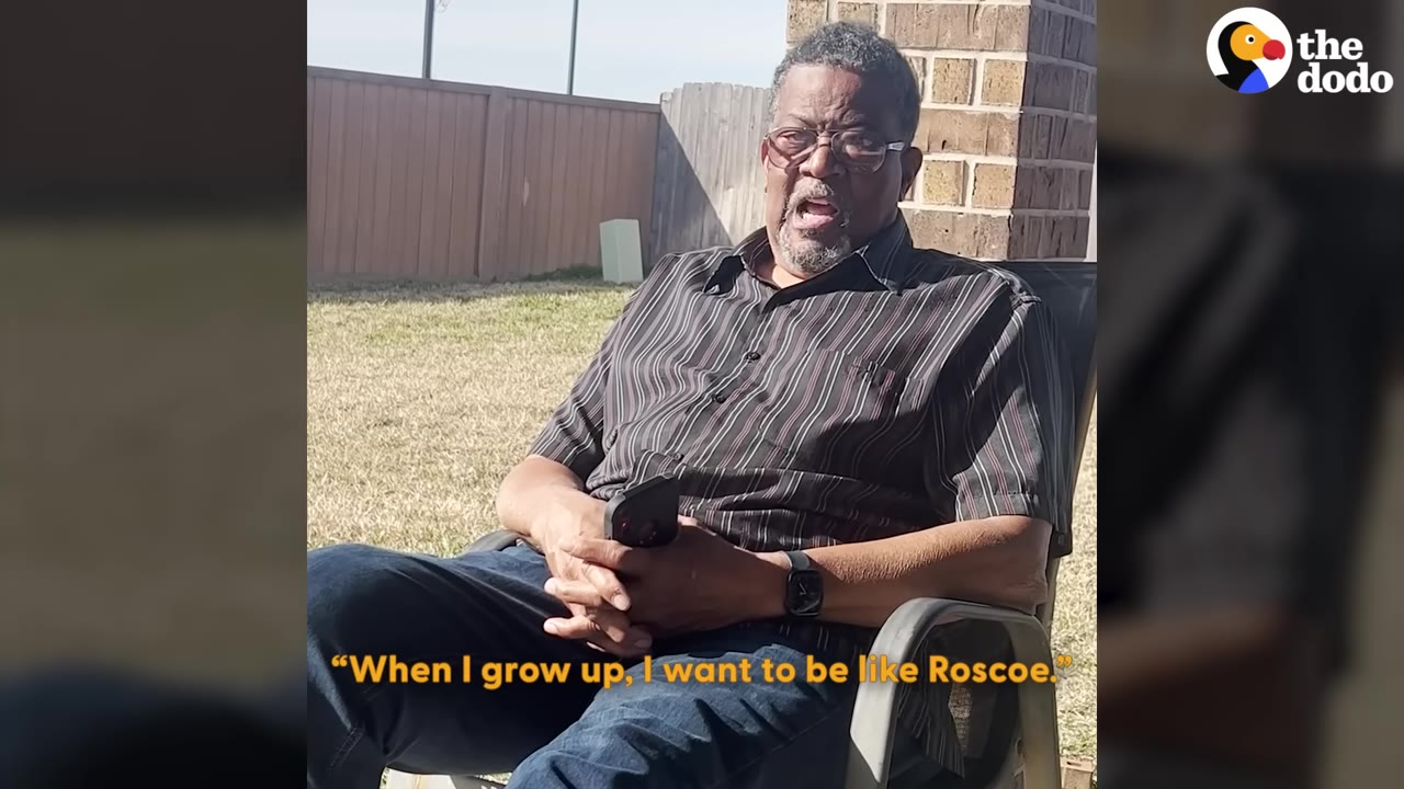 An older man with glasses and a striped shirt sits in a lawn chair outdoors, speaking with a subtitle that reads, 'When I grow up, I want to be like Roscoe.'