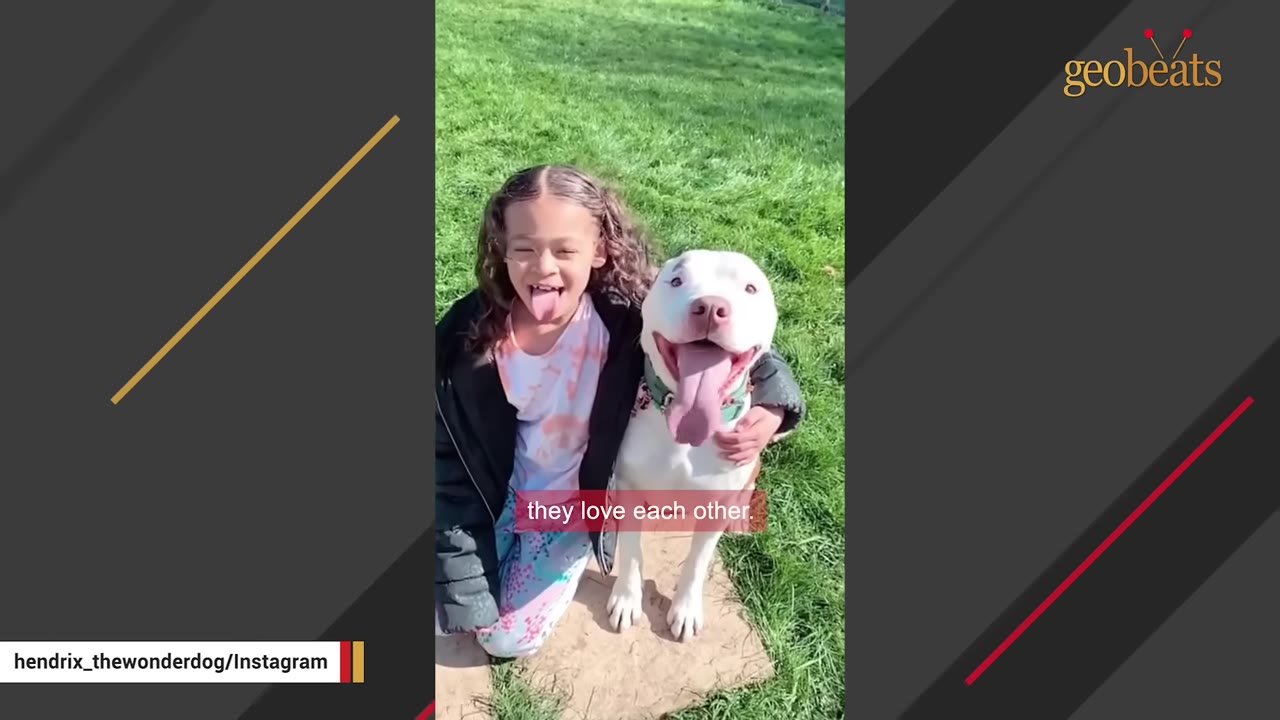 A young girl and a white dog sit together on a grassy lawn, both happily sticking their tongues out.