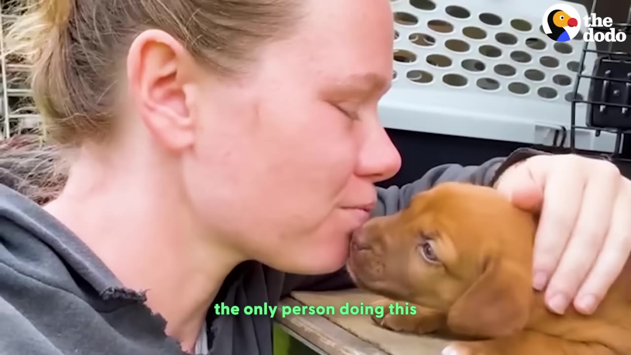 A close-up profile of Audrey kissing a small brown puppy on its nose as she cradles it with her hand.