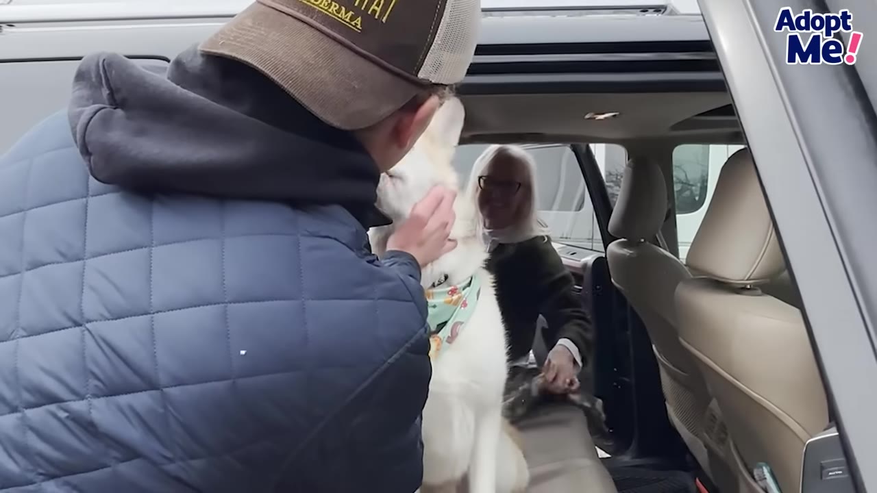 A man in a blue quilted jacket and brown cap pets a white dog wearing a green bandana as it sits in the back of an SUV, while a smiling woman with white hair looks on from inside the vehicle.