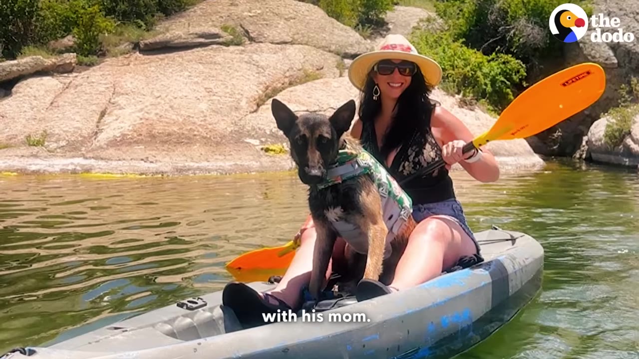 A woman wearing a sun hat and sunglasses smiles while paddling a kayak on a lake with a German Shepherd mix dog wearing a life vest sitting in front of her.