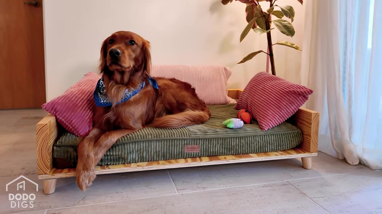 A golden retriever wearing a blue bandana lies comfortably on a custom miniature wooden dog sofa with a green corduroy cushion and pink pillows.