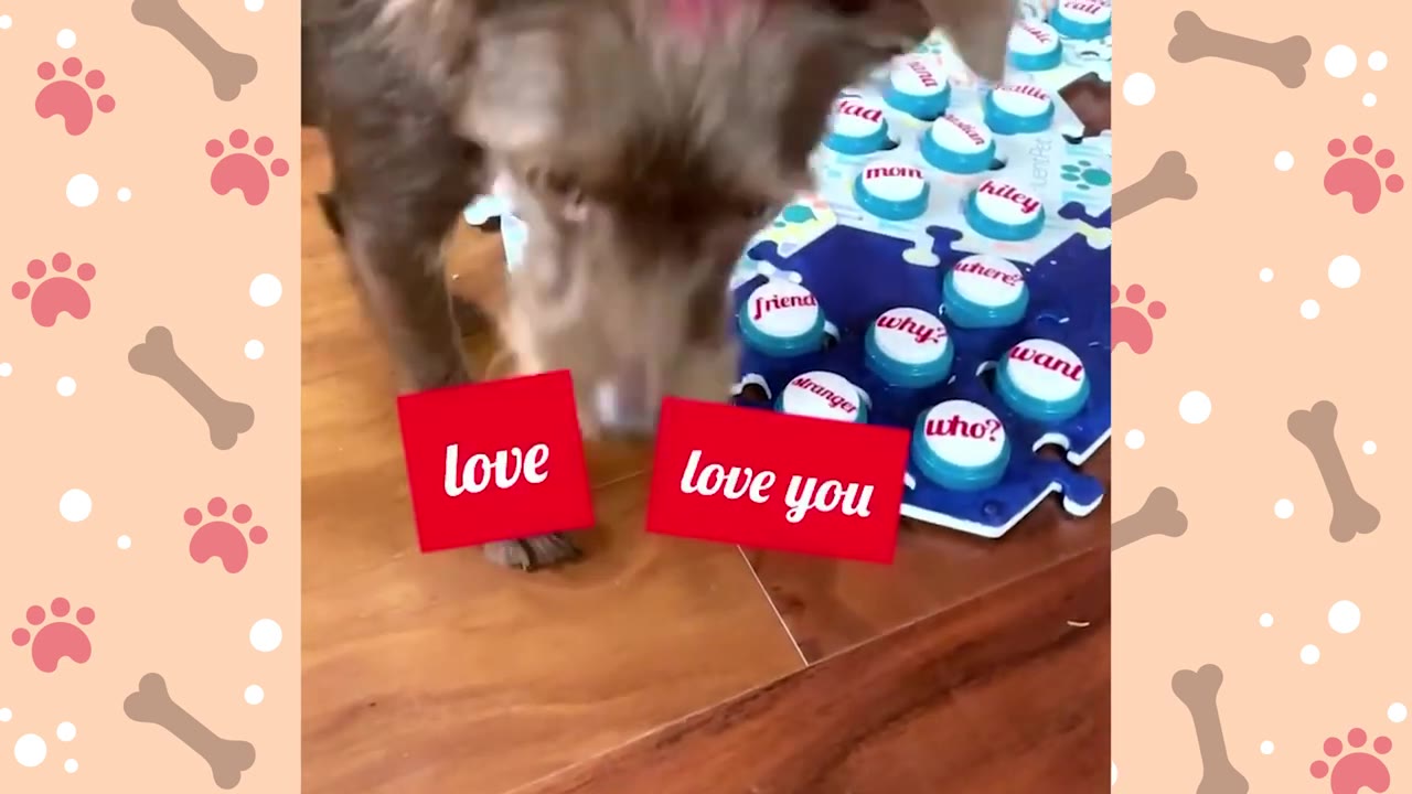 A brown dog stands over a blue soundboard with buttons labeled with words like 'friend', 'why?', 'want', and 'who?', with red graphic overlays reading 'love' and 'love you'.