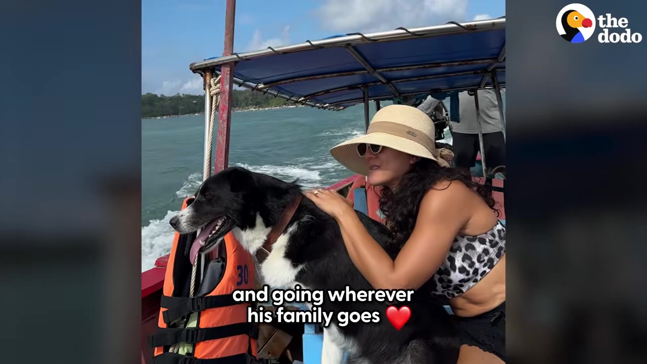 A woman wearing a sun hat and leopard-print top hugs a black and white dog on a boat moving through the water.
