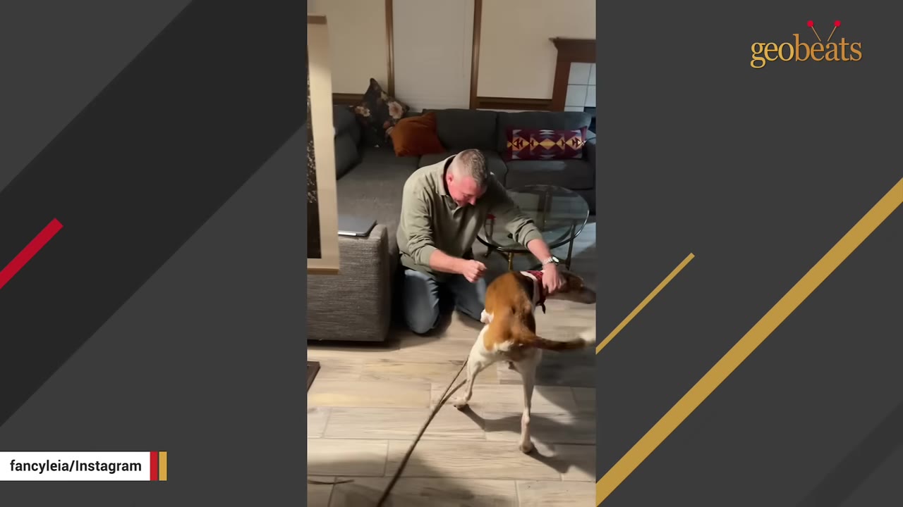 A man in a green shirt kneels on a wooden floor, smiling as he pets a brown and white dog wearing a red bandana.