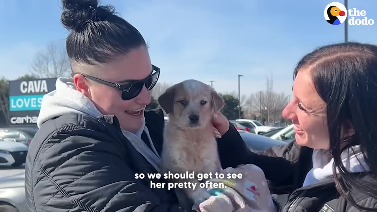 Two smiling women holding a light brown puppy outdoors on a sunny day.