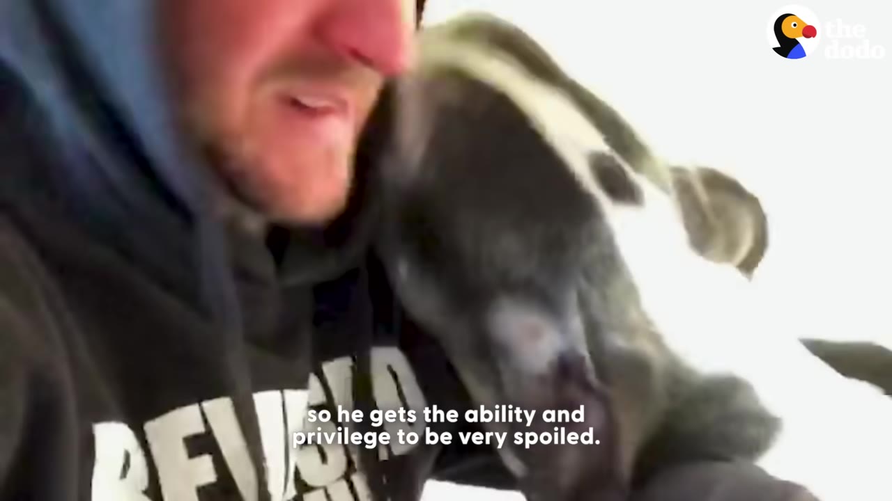 A close-up of a man in a dark hoodie hugging a large black and white dog close to his face.