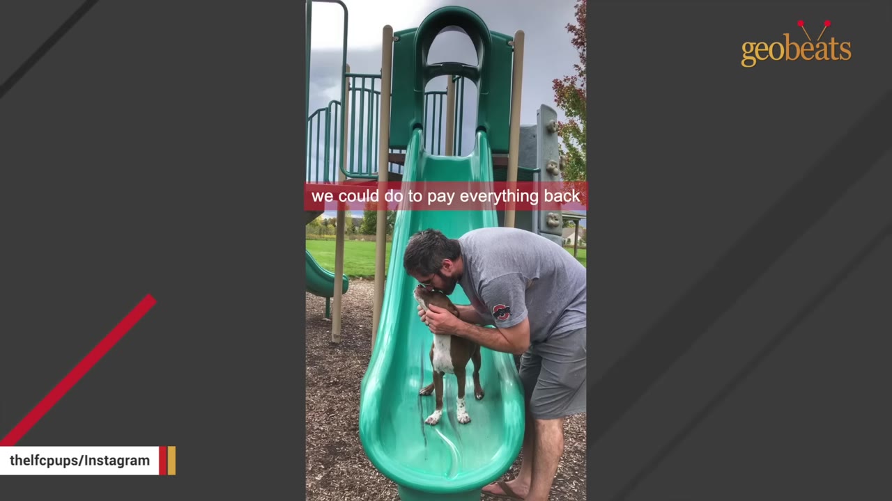 A man leans over a green playground slide to kiss a brown and white dog standing on the slide.