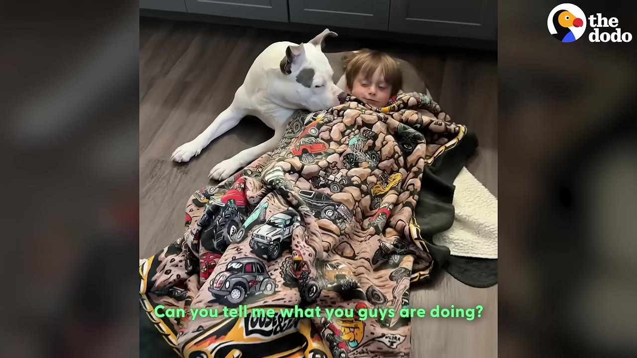 A white dog with grey spots lies on the floor next to a young child wrapped in a blanket patterned with trucks.