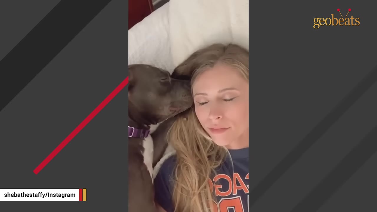 A woman with long blonde hair lies down next to a grey pit bull dog, both with their eyes closed in a peaceful moment.