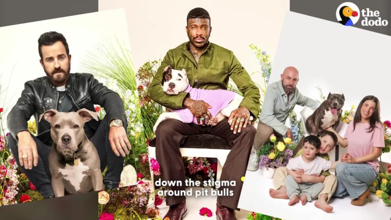 New York Photographer Turns His Lens On Overlooked Pit Bulls To Give Them The Ultimate Second Chance