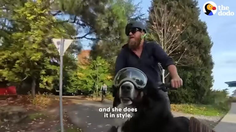 Washington Man Sells His House To Spend More Time With His Dog And Discovers A Beautiful New Life