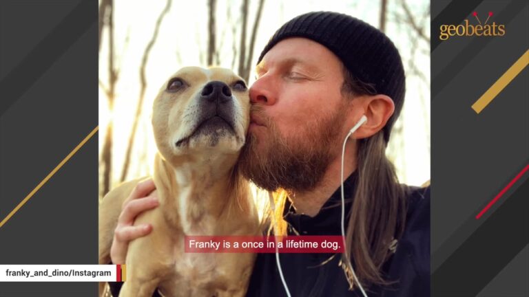 Louisiana Dog Rescued From A Hurricane Loses His Hearing, But His Dad Finds A Beautiful Way To Comfort Him