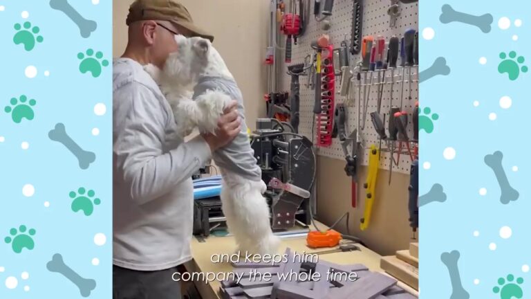 Texas Man Sets Strict Rules For His New Dog Until Lilly Quietly Breaks Every Single One
