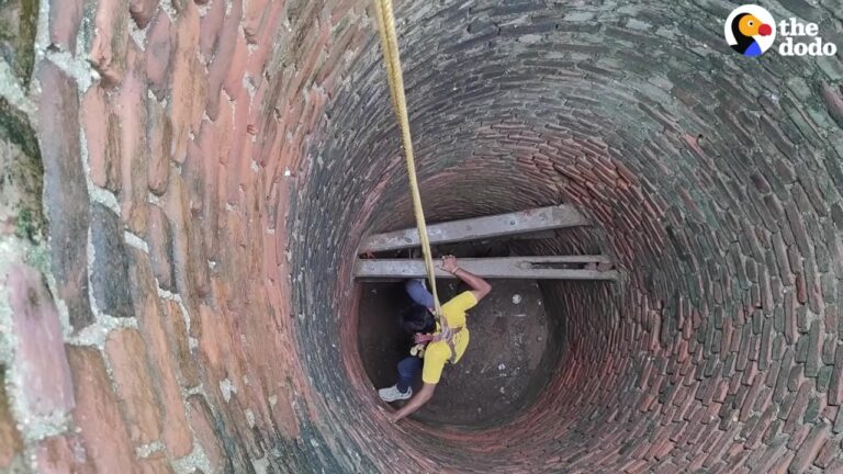 Texas Rescuers Lower A Man Into A Deep Well And Pull Up A Frightened Soul