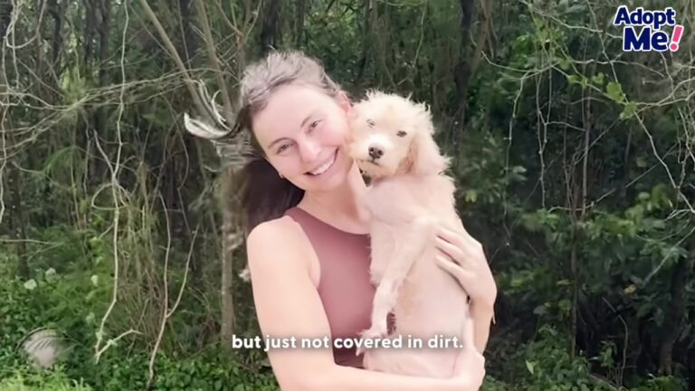 Shelter Dog Looks Completely Different After Colorado Rescuer Takes A Chance On Him