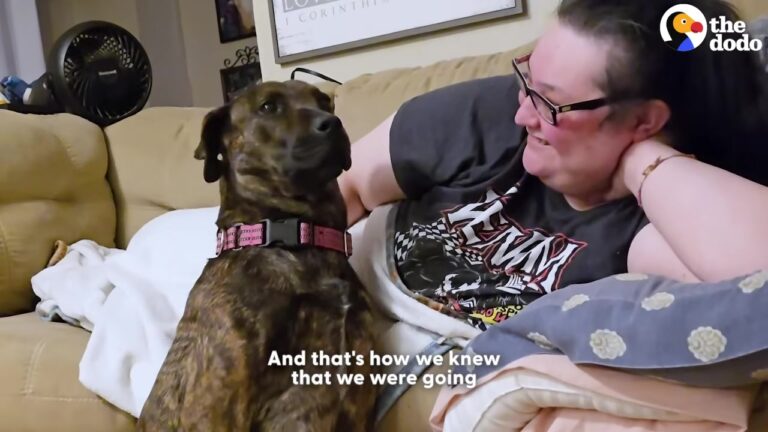 Texas Dog Terrified Of Indoor Life Finally Discovers How To Play After Watching From The Sidelines