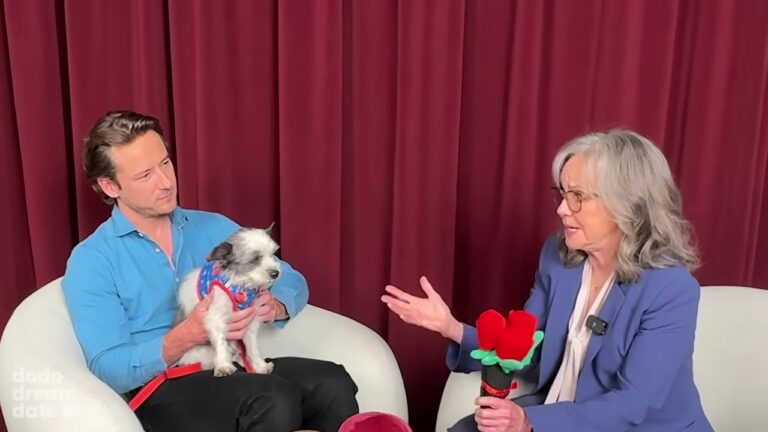 California Dog Waited Months For A Home, Then Two Hollywood Stars Showed Up To Change His Luck