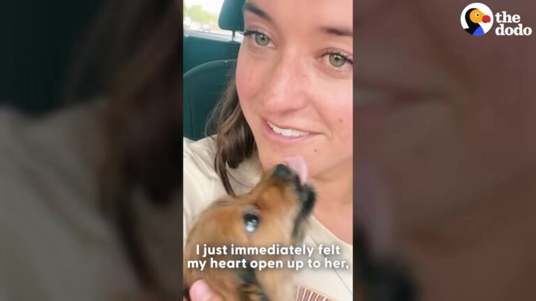 Colorado Woman Lost Her Heart Dog, But One Tiny Puppy’s Kiss Brought Her Spark Back