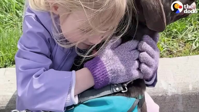 New York Family Attends An Adoption Event And A Tail-Wagging Dog Instantly Chooses Them