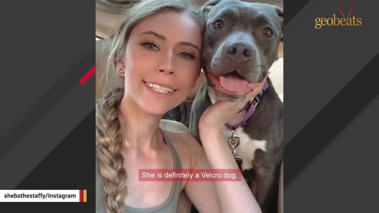 California Woman Meets A Quiet Shelter Dog And Finds The Exact Kind Of Healing Her Heart Needed