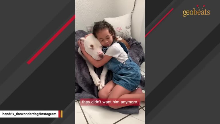 Heartbroken Georgia Dog Waited Behind Shelter Bars Until A Grieving Woman Noticed Something In His Photo