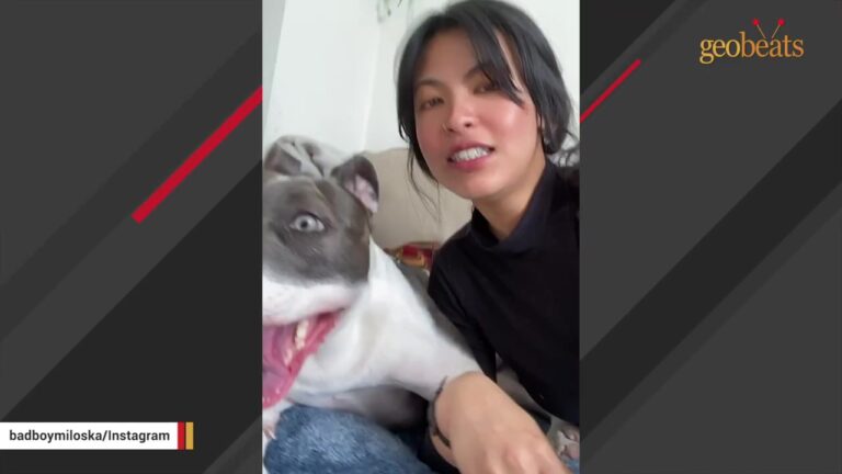 California Dog Left Alone In An Apartment For Weeks Develops A Habit No One Can Explain