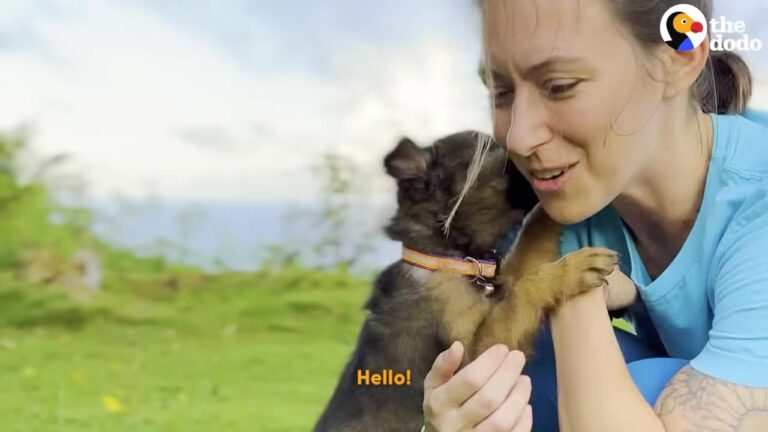 Blind Puppy Learns To Follow Colorado Woman’s Footsteps And Refuses To Leave Her Side