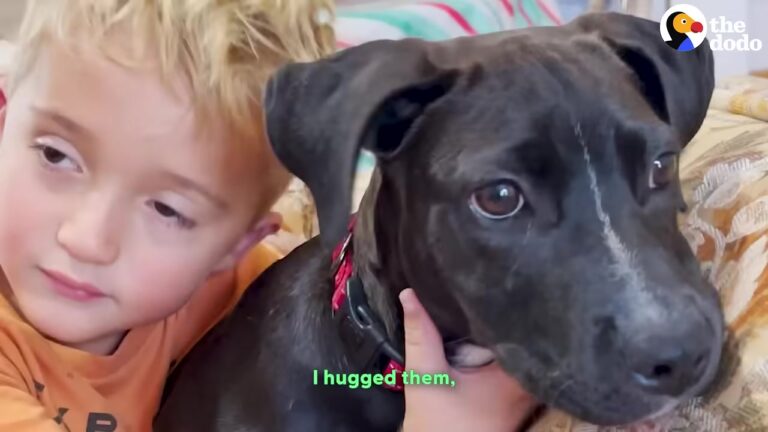 Texas Boy Wanted To Save Abandoned Puppies, And A Surprise Reunion Proved His Kindness Changed Everything