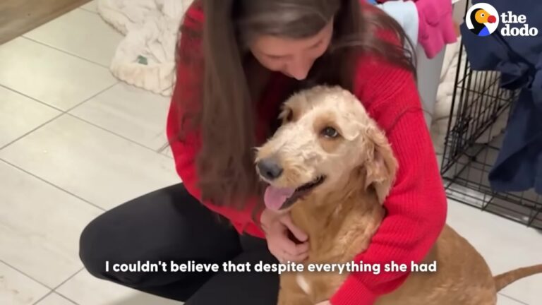 Georgia Dog Left Outside In The Rain Surprises Her Rescuer With The Sweetest Signature Move