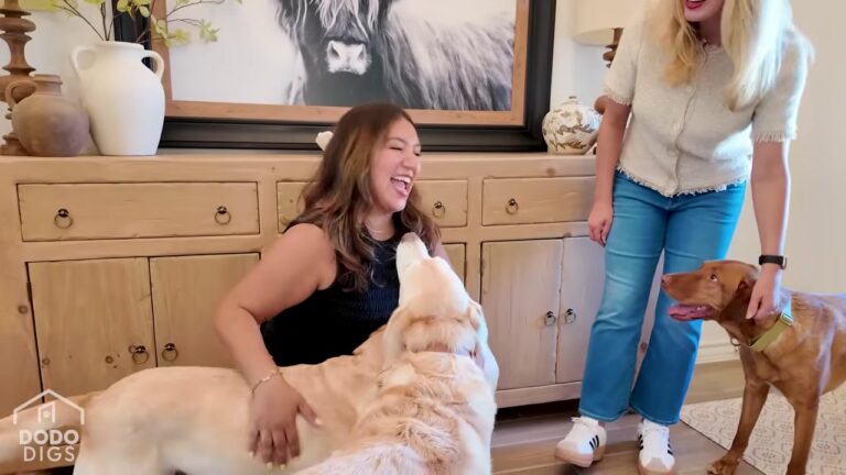 Texas Couple Builds A Stunning Modern Home, But A Look Inside Reveals Who It Was Really Designed For