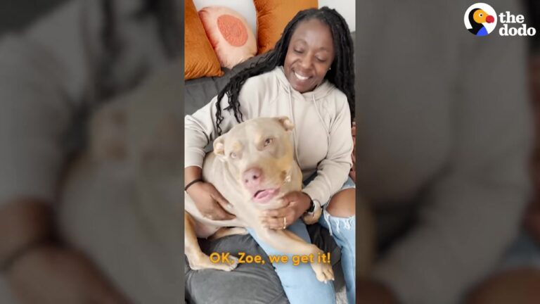 Stubborn Texas Dog Ignores Her Owner Until One Question Instantly Gets Her Attention