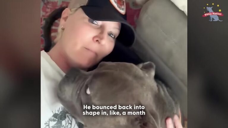 California Rescue Dogs Who Faced Impossible Odds Finally Get The Beautiful Second Chances They Deserve