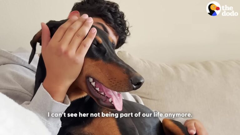 California Couple Waits Beside A Lonely Dog For Over An Hour Hoping Someone Returns