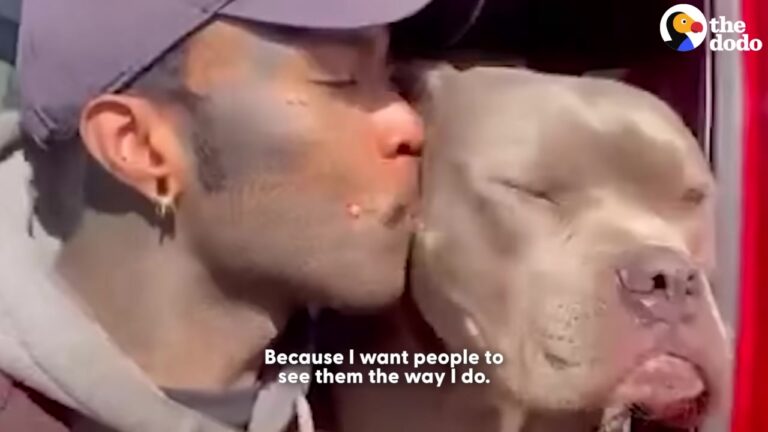 California Volunteer Takes Overlooked Shelter Dogs For A Drive, Giving Them The Chance Their Hearts Waited For