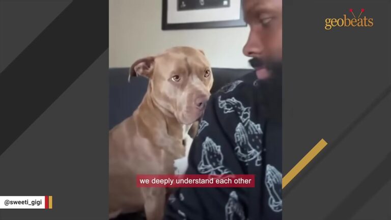 Texas Man Realized His New Dog Was Being Avoided By Neighbors, So He Created A Beautiful Solution