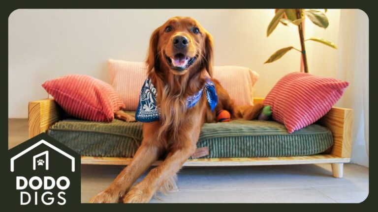 California Family Needed Joy During A Hard Season, Then A Golden Retriever Completely Changed Their Home