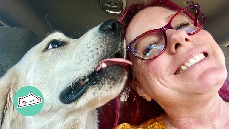 California Woman Struggled With Agoraphobia Until One Special Puppy Opened Up Her Entire World