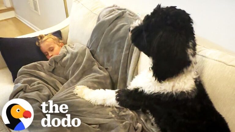 Texas Family Brings Home A Dog For Their Anxious Son But He Cannot Look Away From His Sister