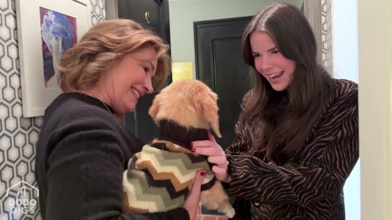 New York Dog Adopted At Eight Years Old Finally Gets The Beautiful Life He Always Deserved