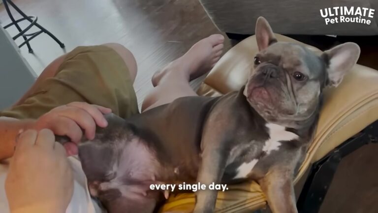 Ohio Dog Demands Daily Foot Rubs From Her Dad And Proves Exactly Who Runs The House