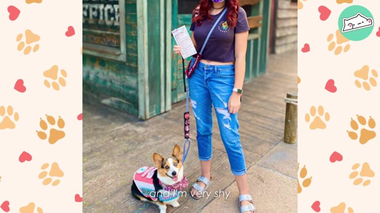 California Woman Battled Severe Anxiety Until An Unexpected Service Corgi Changed Her Life Forever