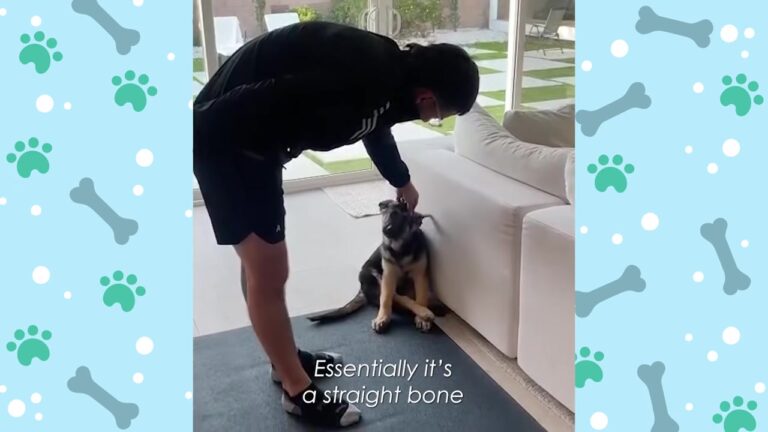 Hopeful California Puppy Waited Alone After A Breeder Gave Him Up For His Disability