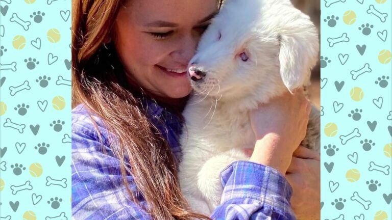 Blind California Dog Avoids His New Sister Until Mom Witnesses A Moment She Never Saw Coming