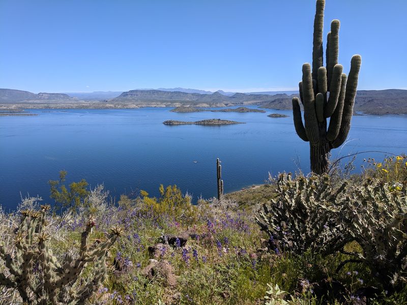Lake Pleasant Regional Park