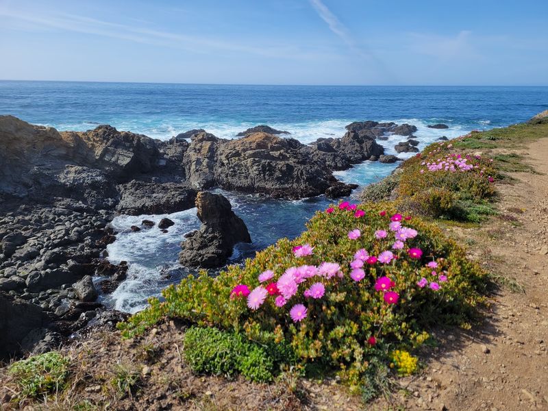 Mendocino Coast Botanical Gardens - Fort Bragg