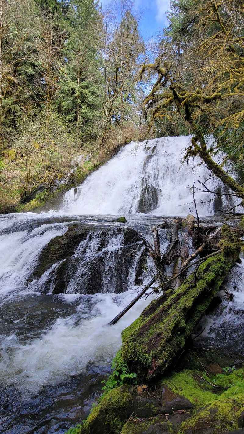 Alsea Falls and Green Peak Falls